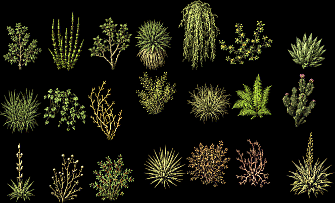 File:stalaggrotto2026stalagseedplants.png