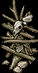 Thumbnail for version as of 21:23, 12 June 2026