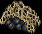 Thumbnail for version as of 21:23, 12 June 2026