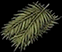 File:palmfrondmattress.png