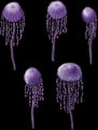 Thumbnail for version as of 19:57, 29 September 2025
