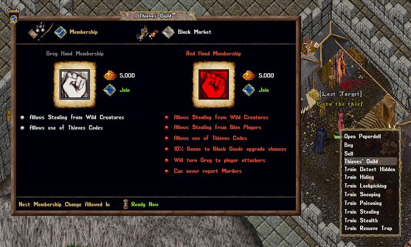 File:thievesguild1.jpg