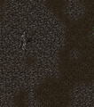 Thumbnail for version as of 05:46, 21 August 2025