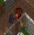 Thumbnail for version as of 04:46, 10 April 2021