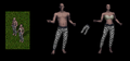 Thumbnail for version as of 02:19, 19 August 2025