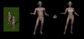Thumbnail for version as of 02:19, 19 August 2025