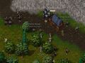 Thumbnail for version as of 00:41, 28 September 2021
