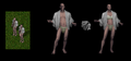 Thumbnail for version as of 19:14, 29 January 2025