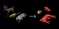 Thumbnail for version as of 10:18, 26 November 2019