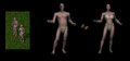Thumbnail for version as of 00:56, 16 May 2026