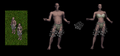 Thumbnail for version as of 03:12, 11 July 2025