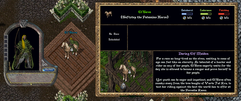 File:mountracer16.png