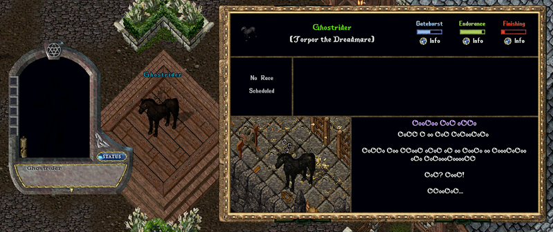 File:mountracer20.png