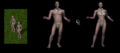 Thumbnail for version as of 17:21, 13 October 2021