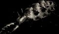 Thumbnail for version as of 18:21, 10 June 2022