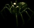 Thumbnail for version as of 08:15, 23 April 2021