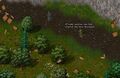Thumbnail for version as of 00:39, 28 September 2021