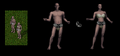Thumbnail for version as of 16:08, 11 October 2025