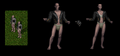 Thumbnail for version as of 20:08, 17 March 2022