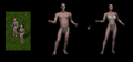 Thumbnail for version as of 20:08, 17 March 2022