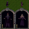 Thumbnail for version as of 21:42, 17 March 2022