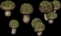 Thumbnail for version as of 19:57, 29 September 2025