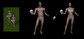 Thumbnail for version as of 16:08, 11 October 2025