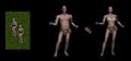 Thumbnail for version as of 21:42, 26 October 2021