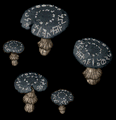 Thumbnail for version as of 20:36, 29 September 2025