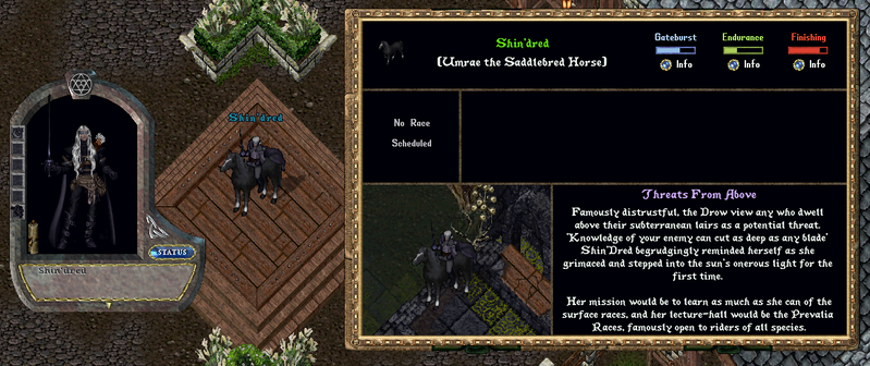 File:mountracer19.png