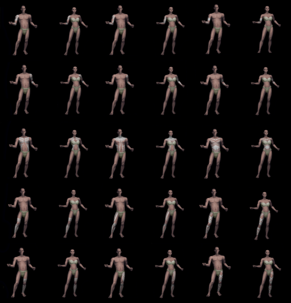 File:tattoos.png
