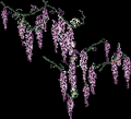 Thumbnail for version as of 06:16, 22 July 2026